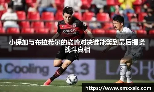 小保加与布拉希尔的巅峰对决谁能笑到最后揭晓战斗真相